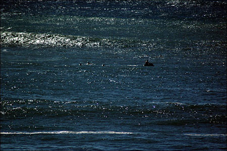 01_big_surf_014