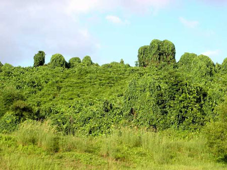 bukit_batok_13