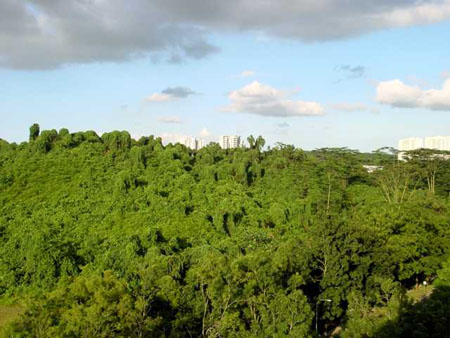 bukit_batok_18