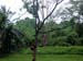 bukit_batok_63