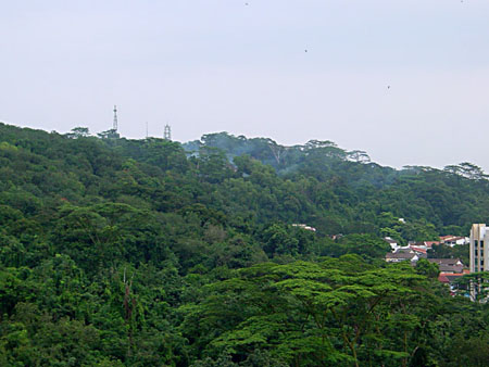 bukit_gombak_001