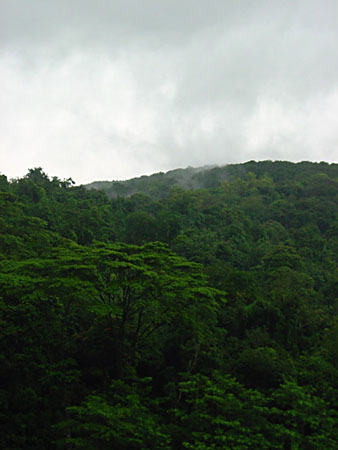 bukit_gombak_006