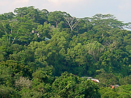 bukit_gombak_010