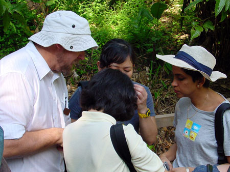 bukit_timah_np_03