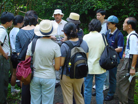 bukit_timah_np_10