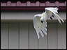 shutter_speed_09