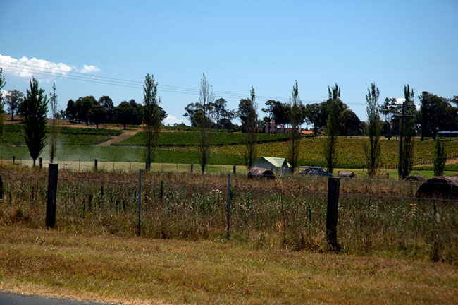 hunter_valley_005