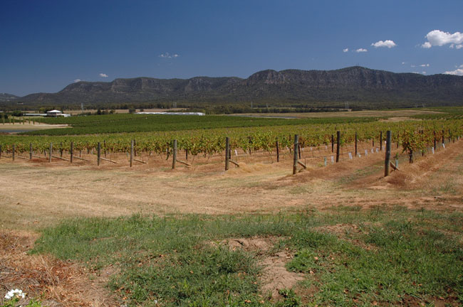 hunter_valley_006