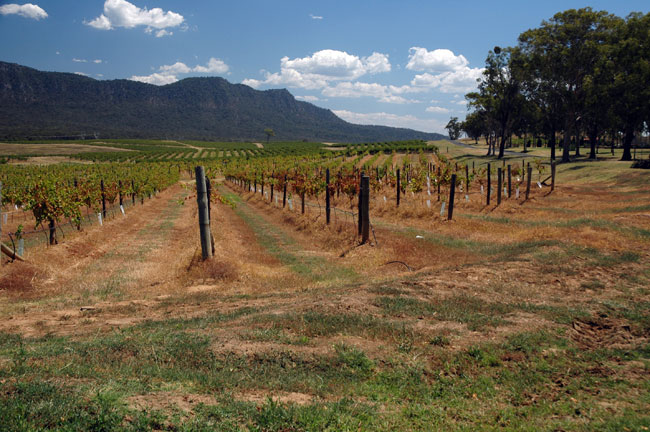 hunter_valley_008