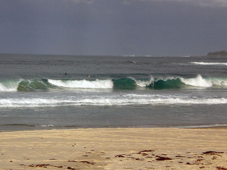 shellharbour_4