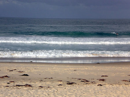 shellharbour_5