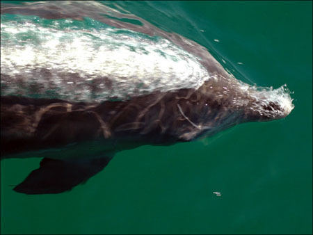 jervis_bay_55