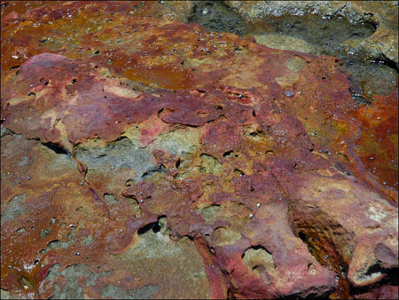 jervis_bay_83
