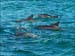 jervis_bay_35