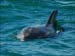 jervis_bay_44