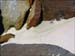 jervis_bay_85