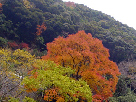 kyoto_excursion_021