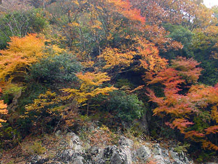 kyoto_excursion_031