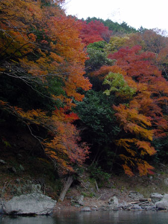 kyoto_excursion_034