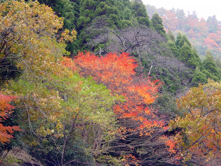 kyoto_excursion_036