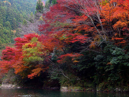 kyoto_excursion_040