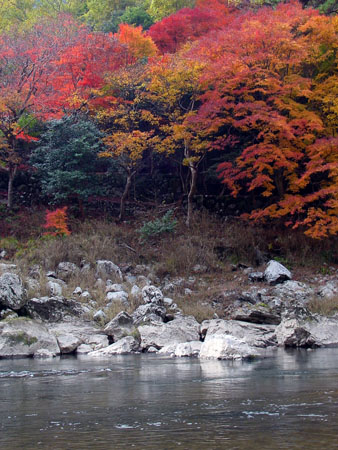 kyoto_excursion_058