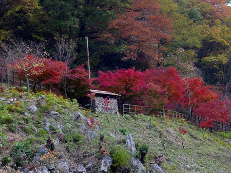 kyoto_excursion_059