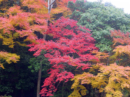 kyoto_excursion_063