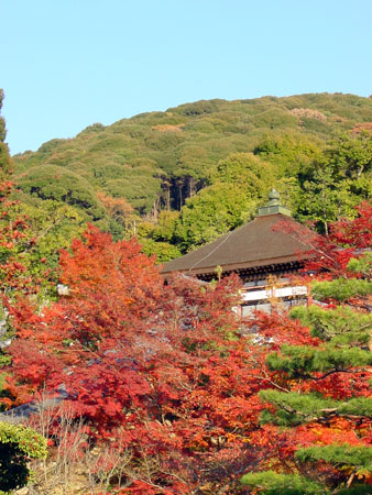 kyoto_park_07