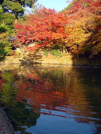 kyoto_park_09