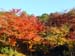 kyoto_park_10