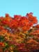 kyoto_park_11