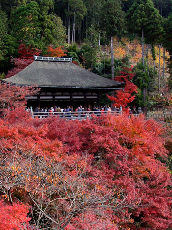 kyoto_temple_1_14