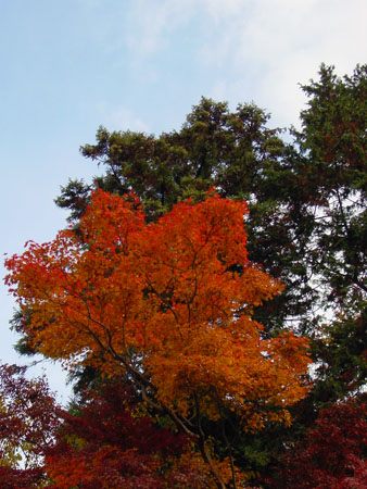 kyoto_temple_1_27