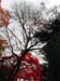 kyoto_temple_1_33