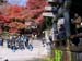 kyoto_temple_1_39