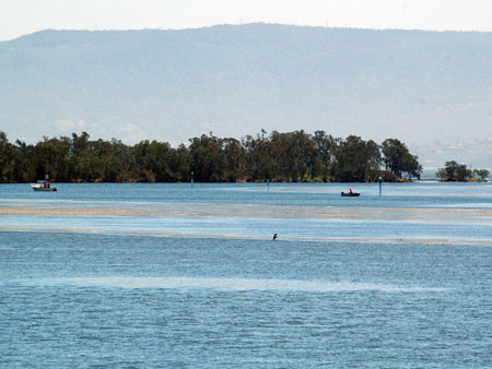 lake_illawarra_25