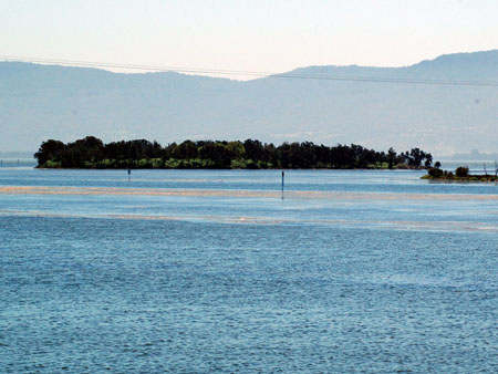 lake_illawarra_26