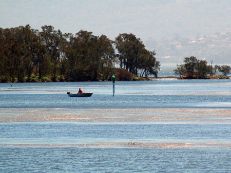 lake_illawarra_29