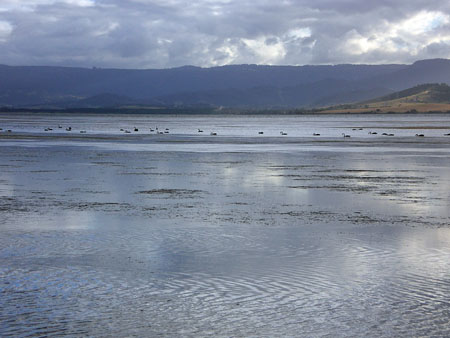 lake_illawarra_02