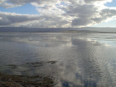 lake_illawarra_03