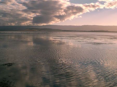 lake_illawarra_05