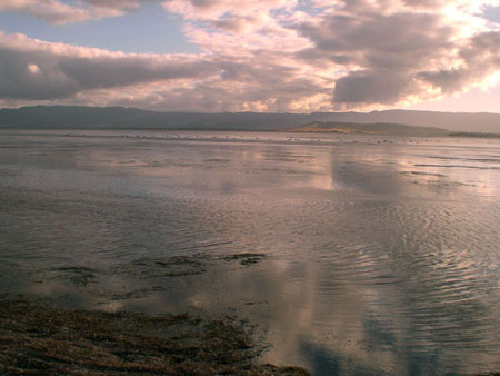 lake_illawarra_06