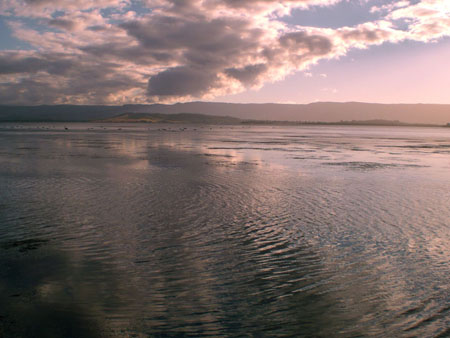 lake_illawarra_10