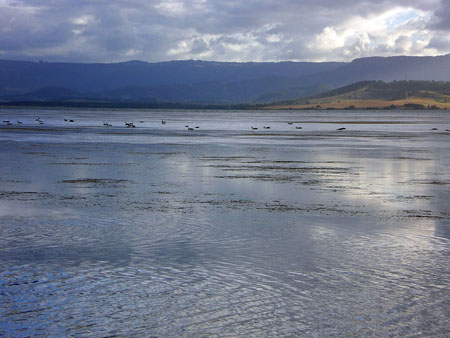 lake_illawarra_11