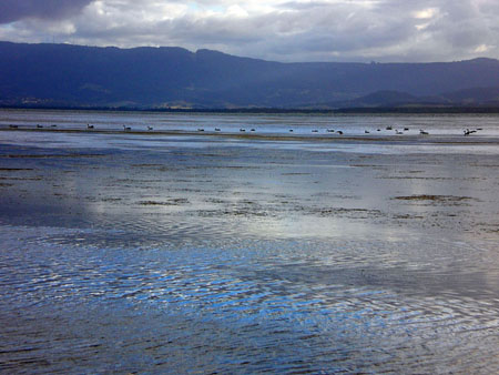 lake_illawarra_12