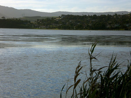 lake_illawarra_13