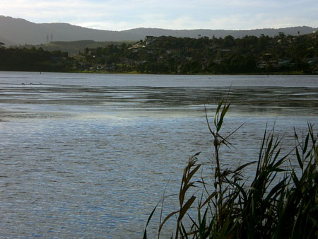 lake_illawarra_14