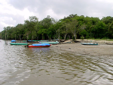 lim_chu_kang_022