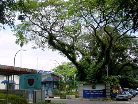 lim_chu_kang_028